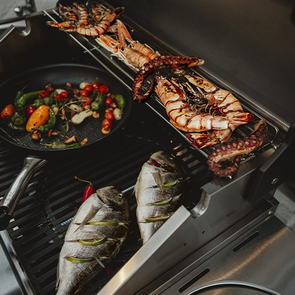 Lifestyle Appliances Enders® Kansas II Pro 4 Gas BBQ