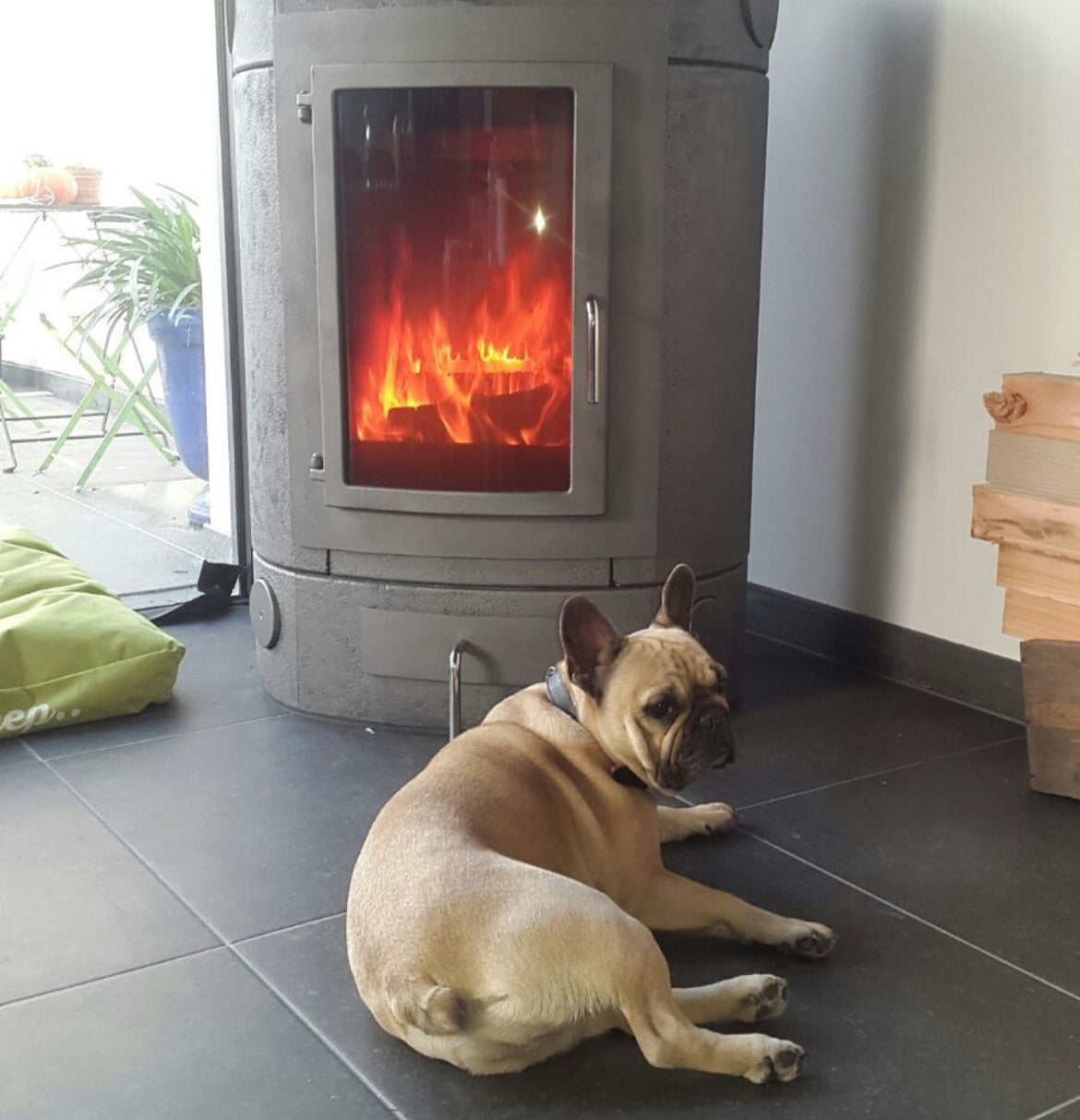 ECCO Stove, EC730