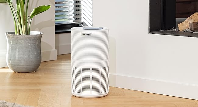 Princess Smart Air Purifier 160