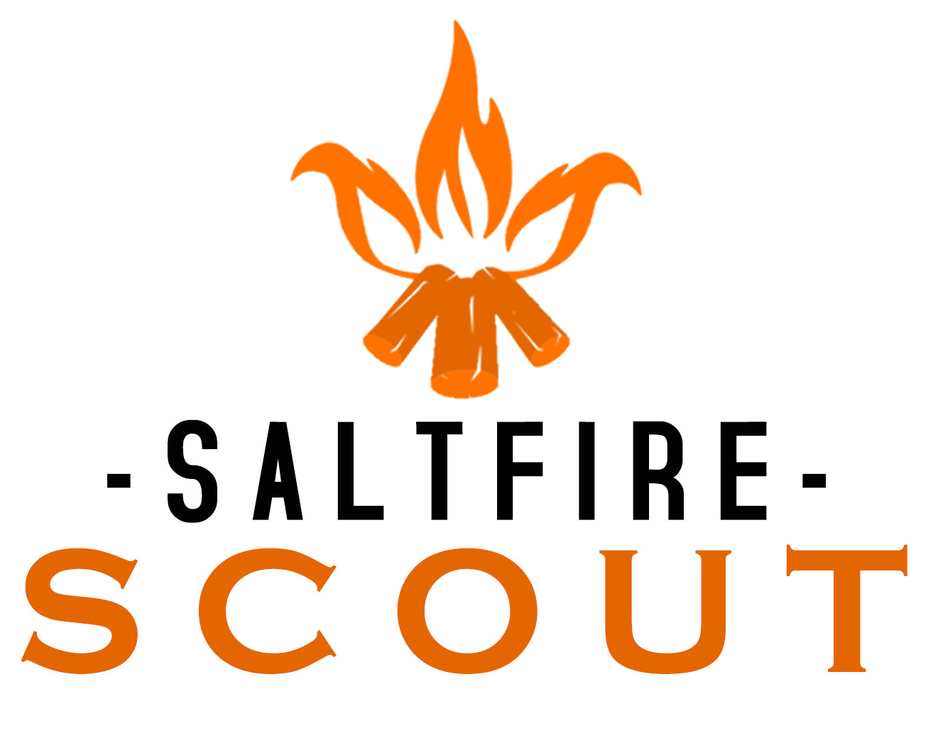 Saltfire Scout (with painted door option) Multi-Fuel Eco Design Stove