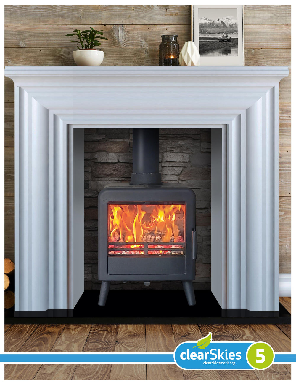 Ekol Bug (with painted door option)  Multi Fuel / Wood Burning Stove