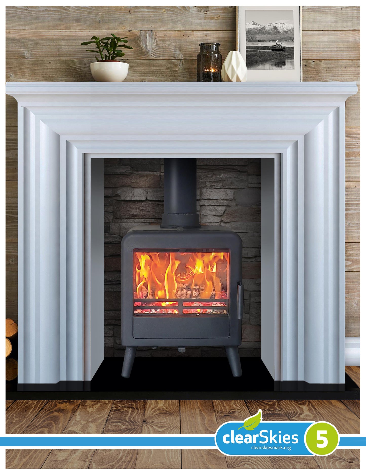 Ekol Bug (with painted door option)  Multi Fuel / Wood Burning Stove