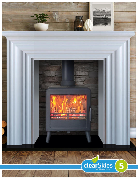 Ekol Bug (with painted door option)  Multi Fuel / Wood Burning Stove